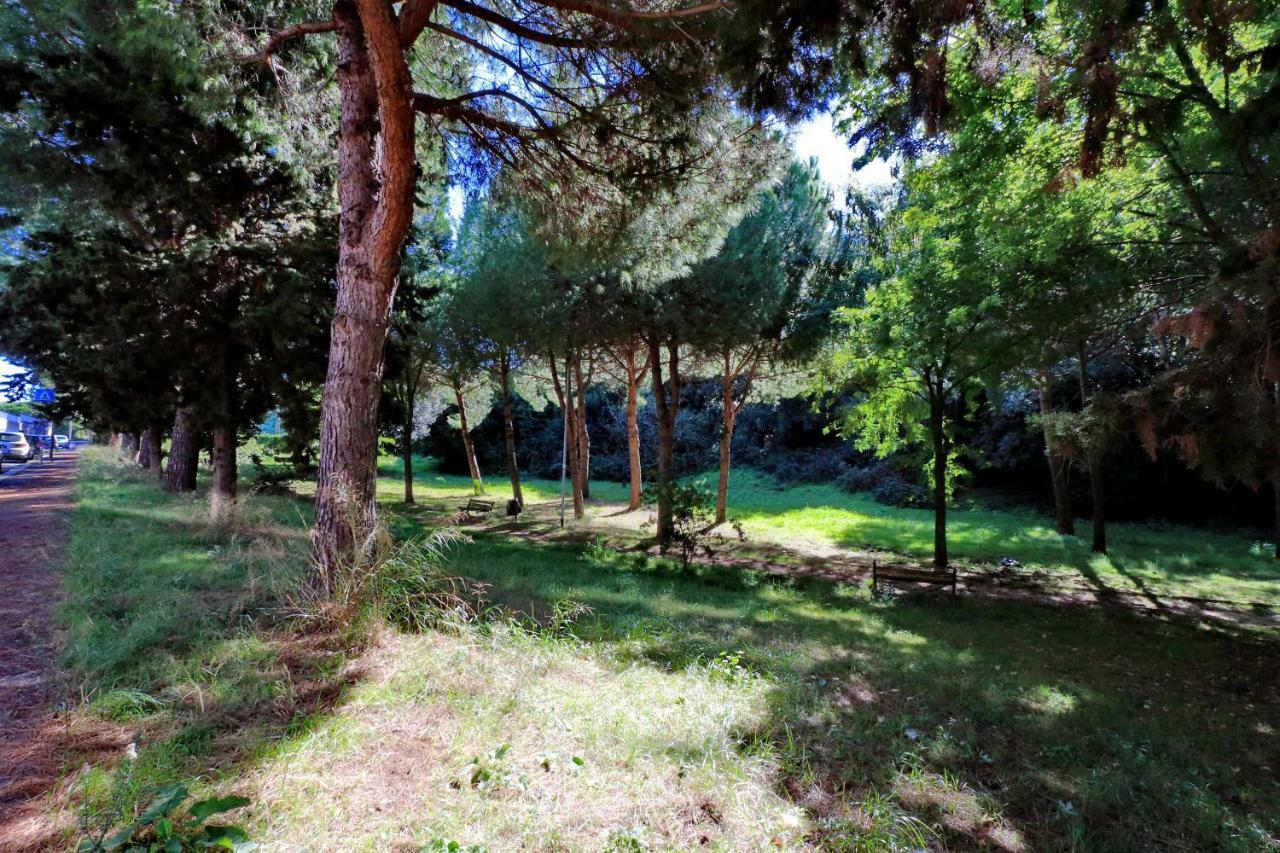 Aurelia Relax Apartment Rome Bagian luar foto